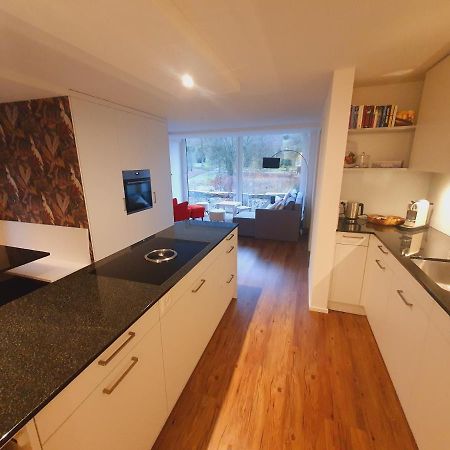 Neue Wohnung An Stadtrand Mit Parkplatz Ebikon 外观 照片