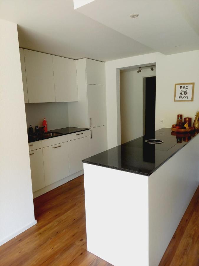 Neue Wohnung An Stadtrand Mit Parkplatz Ebikon 外观 照片